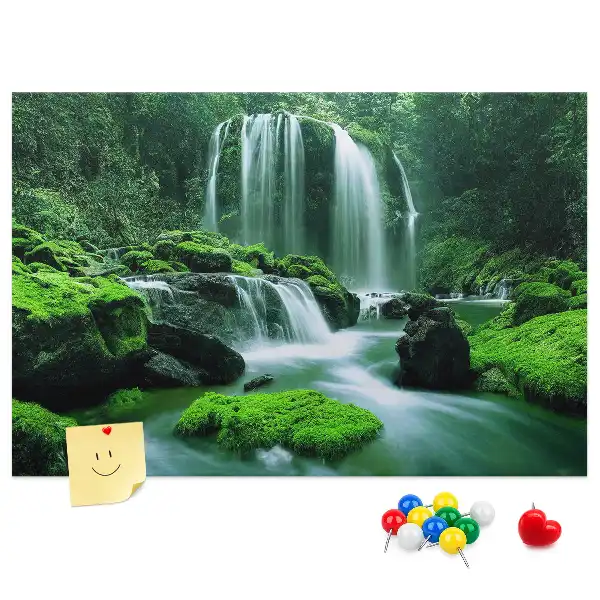 Cork memo board Waterfall among moss