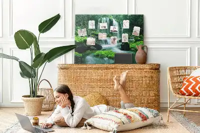 Cork memo board Waterfall among moss