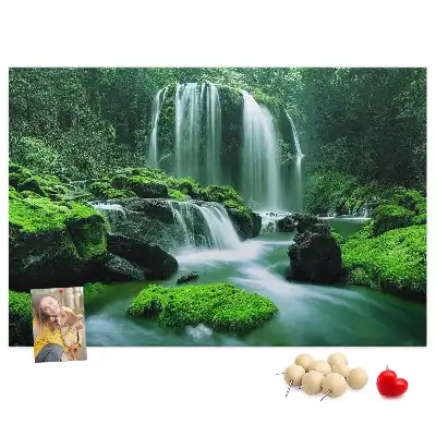 Cork memo board Waterfall among moss
