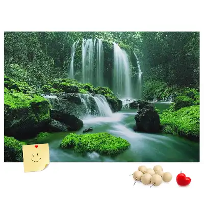 Cork memo board Waterfall among moss