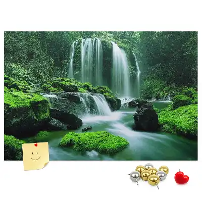 Cork memo board Waterfall among moss