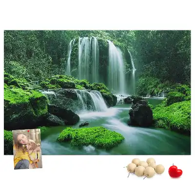 Cork memo board Waterfall among moss