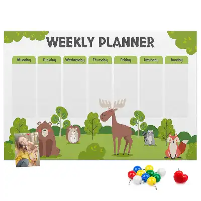 Printed Cork Lesson Plan Memo Board
