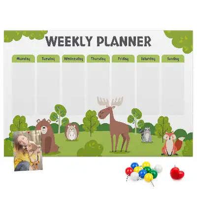 Printed Cork Lesson Plan Memo Board
