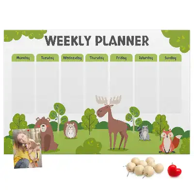 Printed Cork Lesson Plan Memo Board