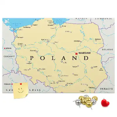 Printed Cork Board Political map of Poland