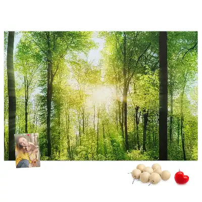 Nature Forest Trees Printed Cork Board