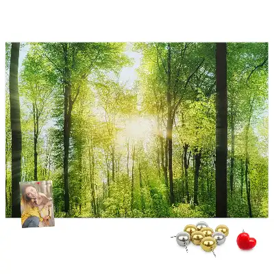 Nature Forest Trees Printed Cork Board