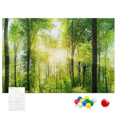 Nature Forest Trees Printed Cork Board