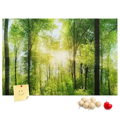 Printed Cork Board Nature forest trees