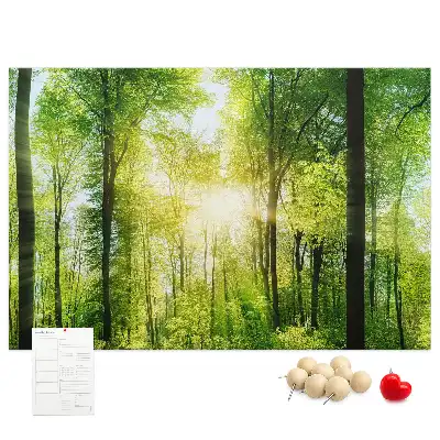 Nature Forest Trees Printed Cork Board