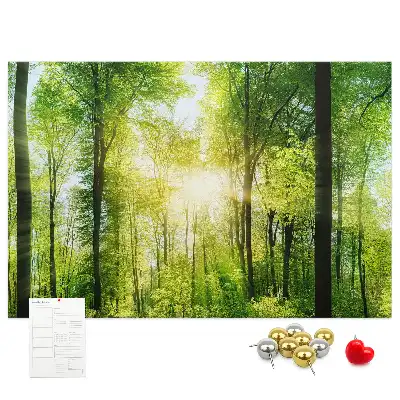 Printed Cork Board Nature forest trees