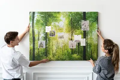 Nature Forest Trees Printed Cork Board