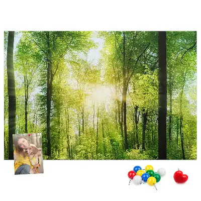 Printed Cork Board Nature forest trees