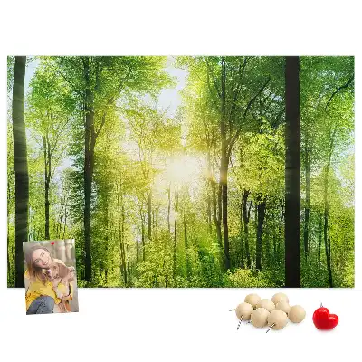 Printed Cork Board Nature forest trees