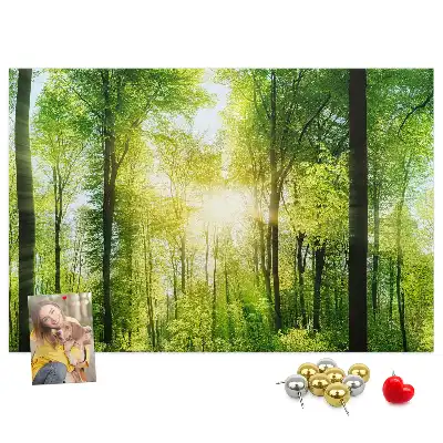 Nature Forest Trees Printed Cork Board