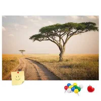 African landscape cork memo board