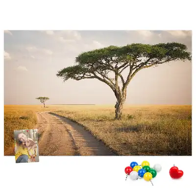 Cork memo board African landscape