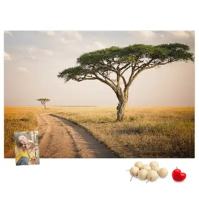 African landscape cork memo board