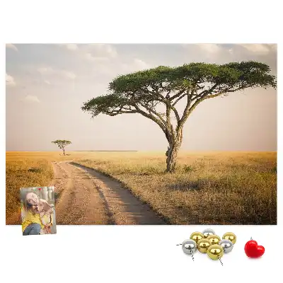 African landscape cork memo board