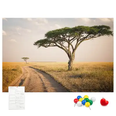 African landscape cork memo board