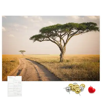 African landscape cork memo board