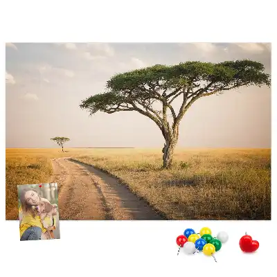 African landscape cork memo board