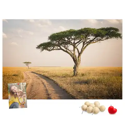Cork memo board African landscape