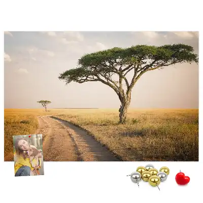 Cork memo board African landscape