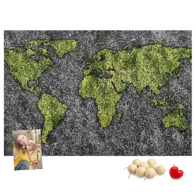 Printed Cork Board World map