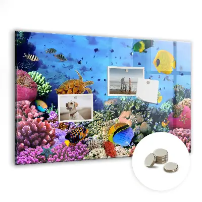 Underwater Life Magnet Board