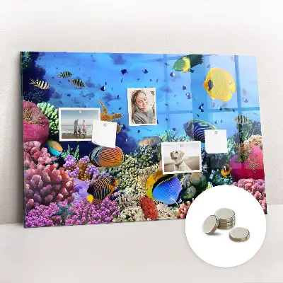 Underwater Life Magnet Board