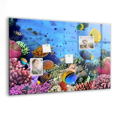 Underwater Life Magnet Board