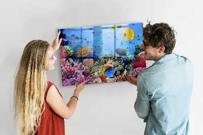 Underwater Life Magnet Board