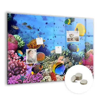Underwater Life Magnet Board