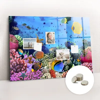 Underwater Life Magnet Board
