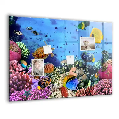 Underwater Life Magnet Board