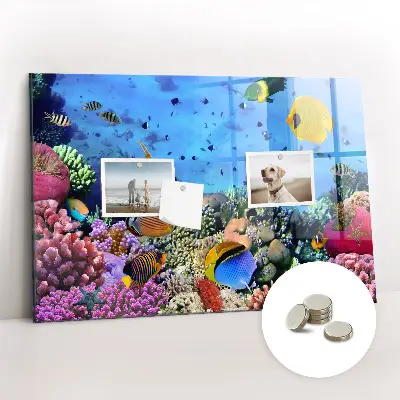 Underwater Life Magnet Board