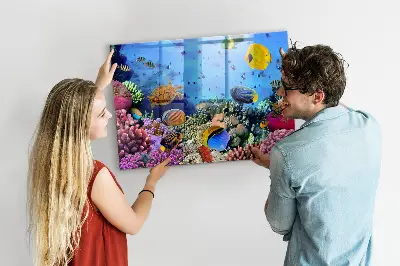 Underwater Life Magnet Board