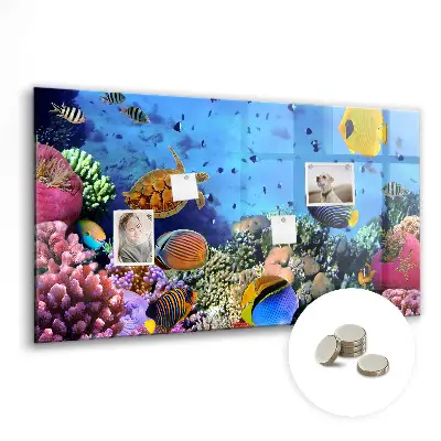 Underwater Life Magnet Board