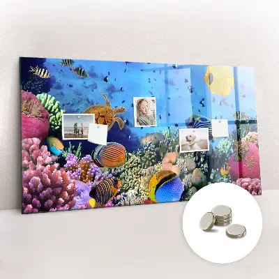 Underwater Life Magnet Board