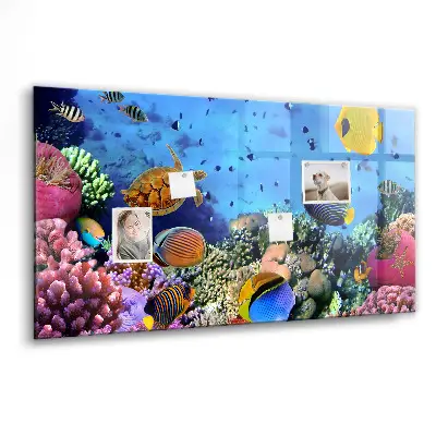Underwater Life Magnet Board
