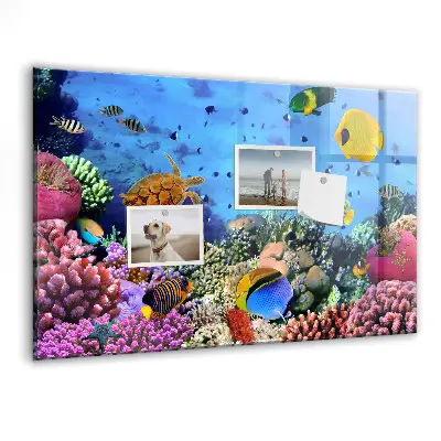 Underwater Life Magnet Board