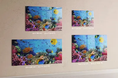Underwater Life Magnet Board