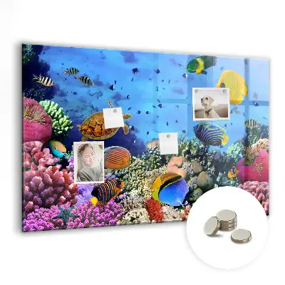 Underwater Life Magnet Board