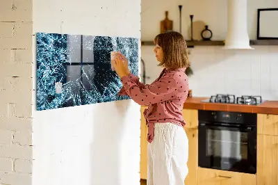 Frozen themed magnetic wall board