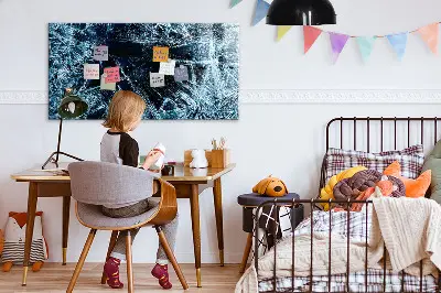 Frozen themed magnetic wall board