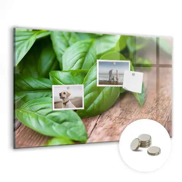 Magnetic wall board with basil leaves design