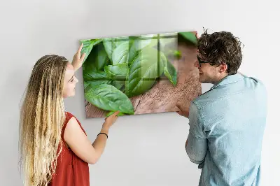 Magnetic wall board with basil leaves design