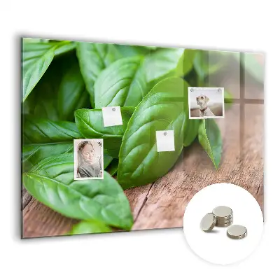 Magnetic wall board with basil leaves design
